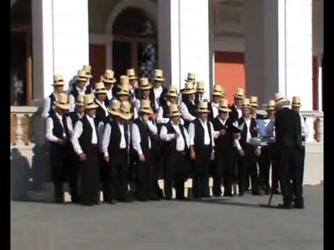 Corul barbatesc din Finteusul Mare, Zilele Limbii Romane, Cluj