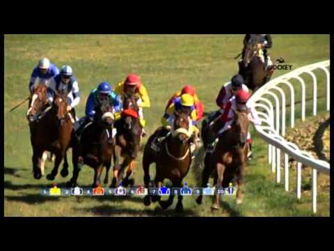 4 Carrera, premio Celtic Rock, 28 de febrero 2016 - Gran Hipódromo de Andalucía (Dos Hermanas)