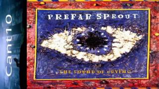 The sound of crying, Prefab Sprout