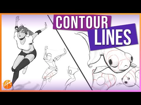 Understanding Cross Contours - Thinking Like a 3D Modeler