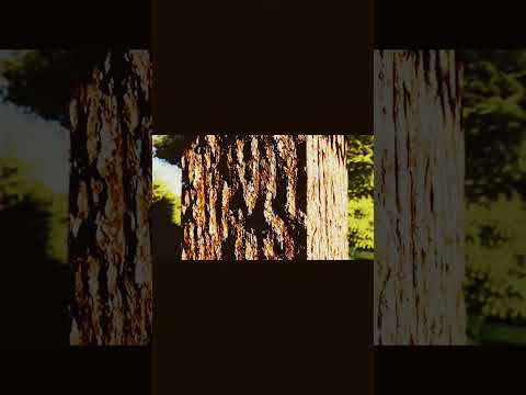 Beyond Reality Minecraft RTX: 4090 Shader Showcase