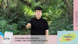 고사리