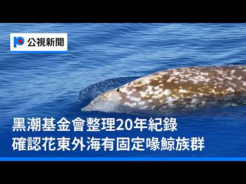 youtube影片