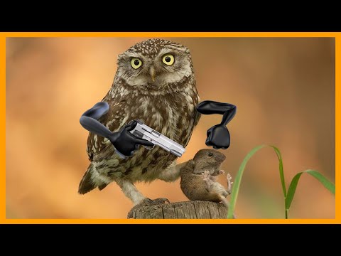 Secret Life of Things - Real Life Doodles Compilation | 3D Doodland #69