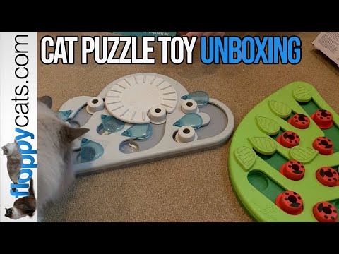 3 Interactive Cat Treat Puzzle Toys: Petstages Nina Ottosson Unboxing with Ragdoll Cats