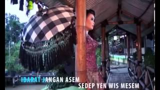 Download lagu DIAN ANIC TARLING 2013 JANGAN ASEM mp3