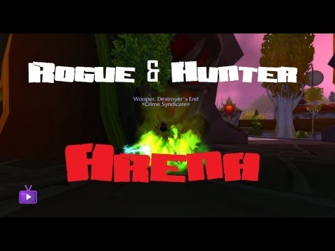 WoW Rogue & Hunter PvP Arena! MoP Lvl 90