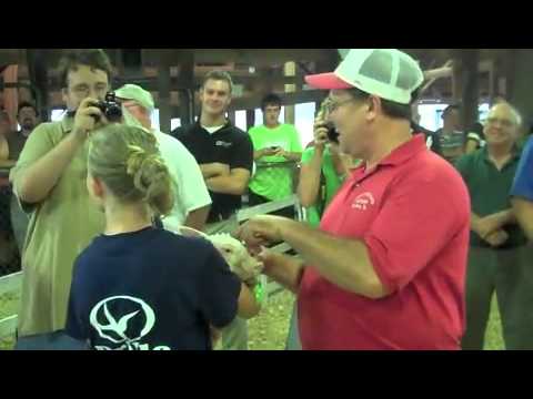 N-B Video: Puckering up for a pig — 2012 4-H Fair