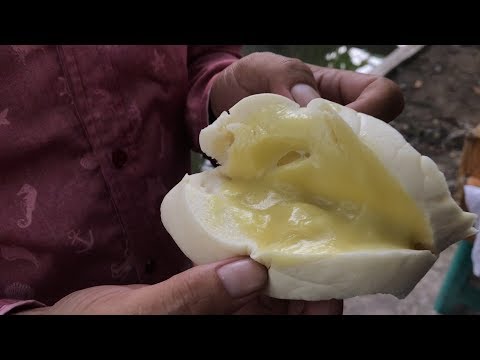 Diet perut kendor Video bagaimana untuk terlibat dalam Nordic berjalan untuk menurunkan berat badan