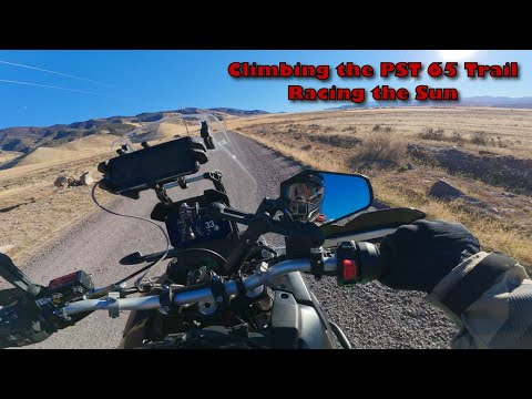 Paiute 65 Live Oak Trail