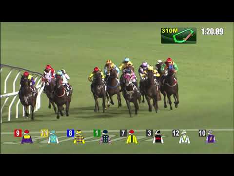 6/10/2021 (80) Shadow Breaker- Keith Yeung