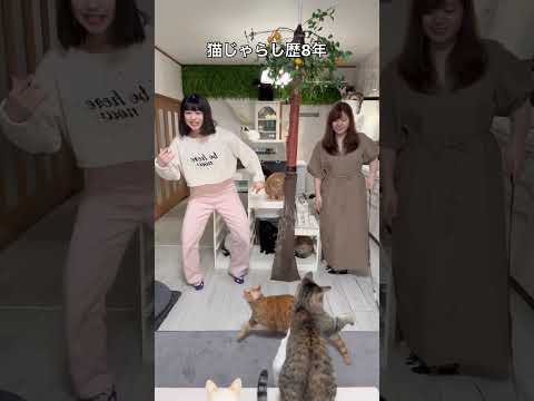 猫じゃらしのプロ。私は母と娘