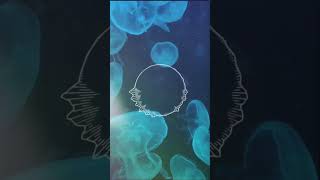 - チルくて可愛い曲作ってみたから聞いて #オリジナル曲 #vocaloid #初音ミク #作曲