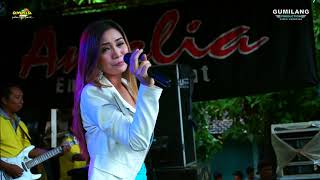 Download lagu DIGILIR CINTA EVIS RENATA - AMELIA KELET BOGAS ROYAL COMMUNITY mp3