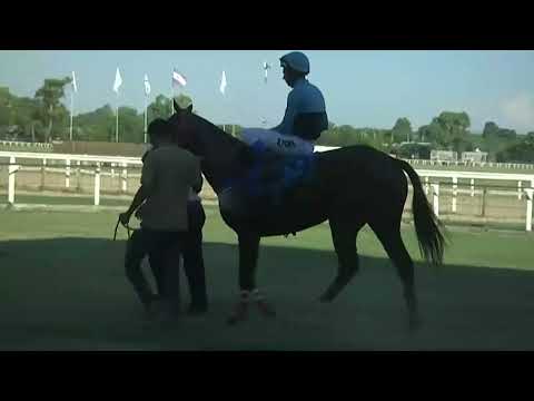 SINT PAYSANDU 230209 c07 1° BRITISH STRONG