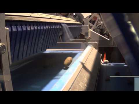 DOWNS - ODENBERG: FPS OPTICAL SORTER FOR UNWASHED POTATOES 70 Tonnes/ H, sorting potato