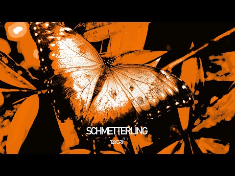 RIN x BAUSA TYPE BEAT | MELANCHOLIC TRAP POP TYPE VOCAL RAP INSTRUMENTAL 2022 | "Schmetterling"