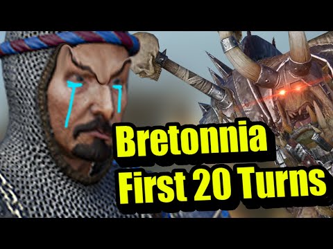 First 20 Turns as Bretonnia in a Nutshell