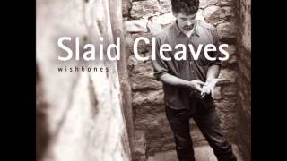Slaid Cleaves - Horses