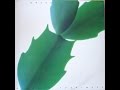 Hiroshi Yoshimura GREEN 1986