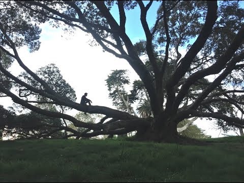 VLOG #52 - Neuseeland & Australien Tour, Auckland Tag 4, letzter Tag & letzte Show - 18.09.2017