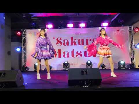 Chypre @ Sakura Matsuri - The Market Bangkok【4K 60fps】