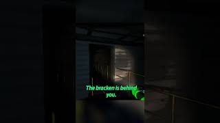 Panic! #lethalcompany