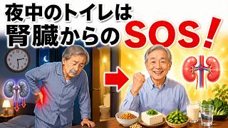 腎臓を守るために今すぐ見直すべき習慣9選｜長生き 食べ物で腎機能を守る方法