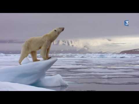 download lagu mp3 mp4 Palmares Ornithologique, download mp3 Palmares Ornithologique free download mp3, download mp3 Palmares Ornithologique