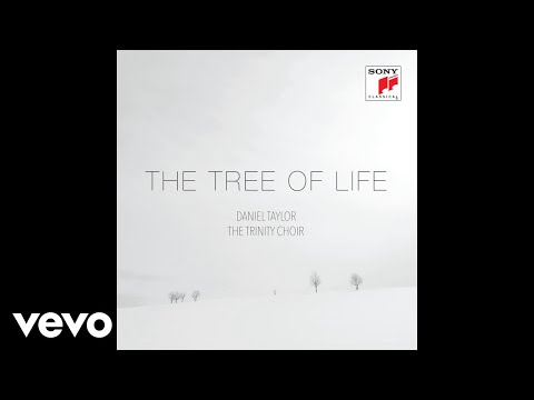 Daniel Taylor, The Trinity Choir - Ave Maria (Pseudo Video)