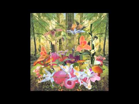 Monster Rally - Orchids