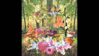 Monster Rally - Orchids