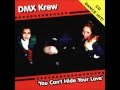 DMX Krew   -- You Can't Hide Your Love 