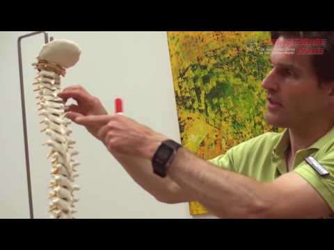 Osteophytes Behandlung von Rückenschmerzen 28-29 Wochen der Schwangerschaft Rückenschmerzen