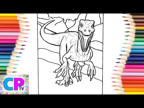 Velociraptor the Dinosour Coloring Pages,How to Color Velociraptor, Dinosour may be Dangerous