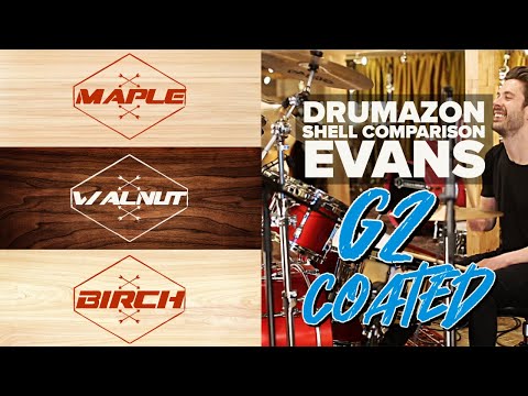 Evans Genera G2 Coated Tom / Drum Head Shell Comparison - Maple | Birch | Walnut from Drumazon