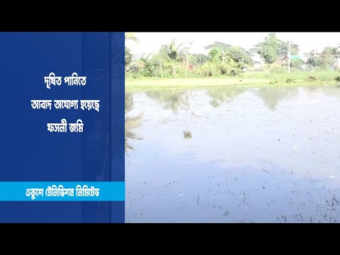 নরসিংদীতে আবাদ অযোগ্য ফসলী জমি