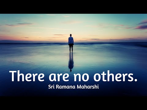 Srđan Roje: U tvojoj privatnoj realnosti nema drugih ljudi