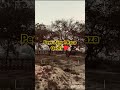 Peer Ajmal Raza Qadri ️ Hadees Hadees Bayan Quran Allamazingworld Shortsviral Islamicstatus