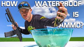 How Water Proof is Live Ammo?? (Submerged For a MONTH)