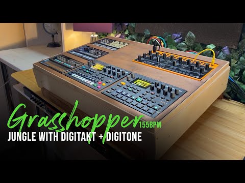 GRASSHOPPER (LIVE) - DIGITAKT + DIGITONE -  Live Jam 155bpm Jungle