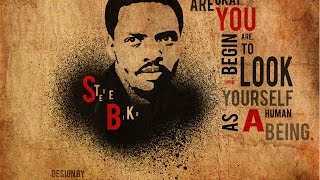 Steve Biko Biography | Steve Biko quotes | Steve Biko movie youtube | Steve Biko quotes cry freedom