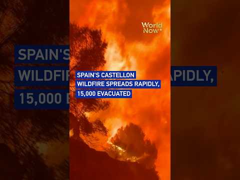 Spain's Castellon wildfire spreads rapidly, 15,000 evacuated #worldnow