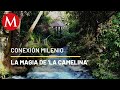 Parque lineal 'La Camelina', en Michoacán | Conexión Milenio