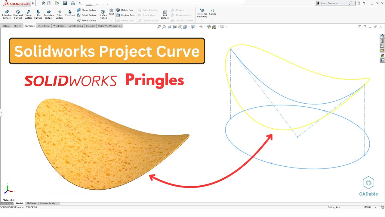 Solidworks Project Curve | Creating Pringles in Solidworks | Practice Exercise 29 | CADable