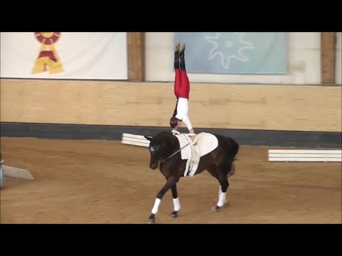 Bayerische Meisterin 2023 - Einzelvoltigieren Junior - Laura Seemüller