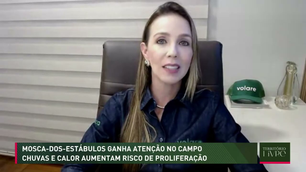Chuvas e calor aumentam risco de proliferação da mosca-dos-estábulos