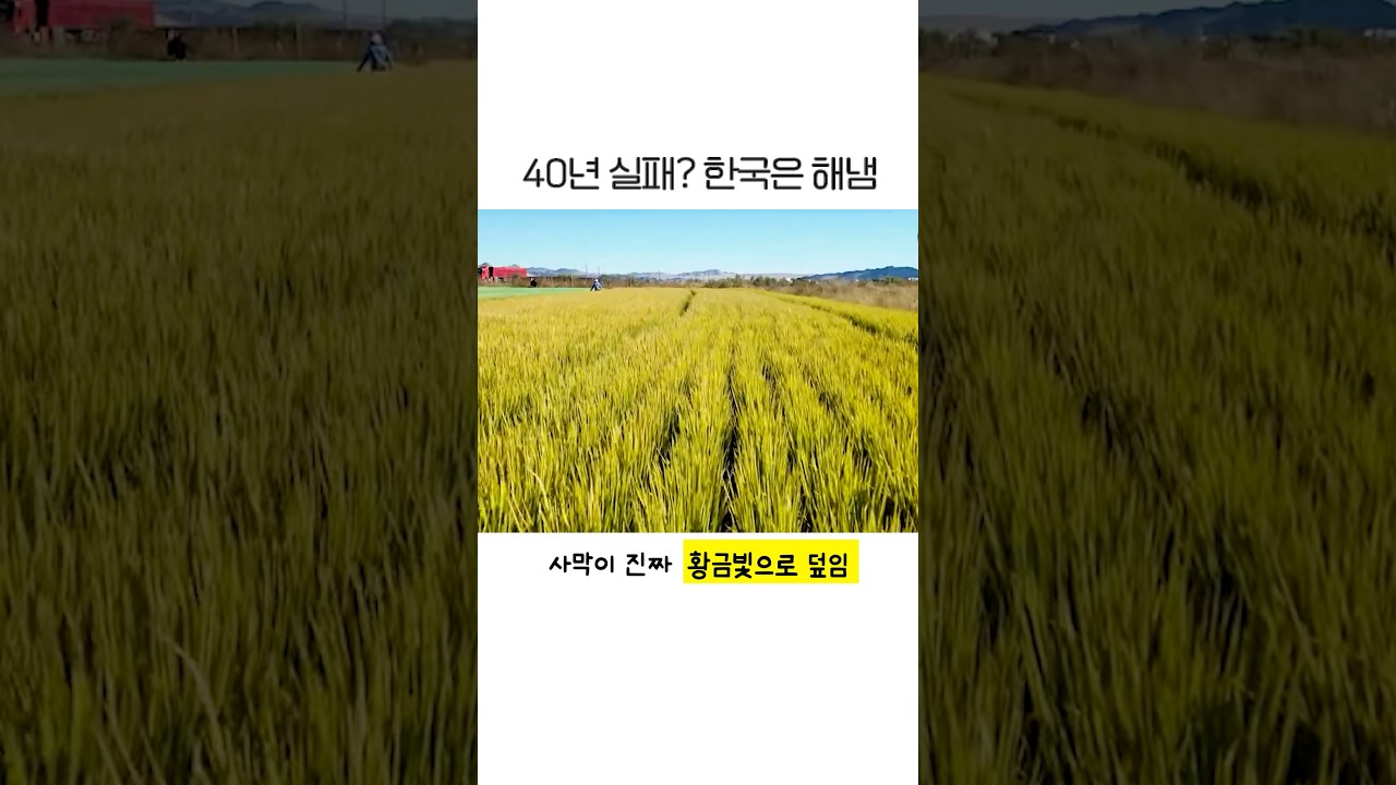 Youtube Shorts Thumbnail