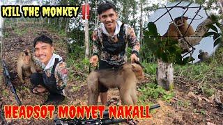 Download lagu SADISS‼️akhirnya si raja monyet perusak kebun warga tumbang/KILL THE MONKEY mp3