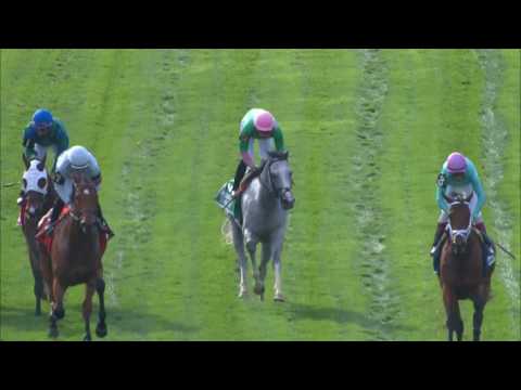 Disco Partner - 2017 Elusive Quality